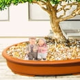 thumbnail image 4 of WRITWAA Resin Figurine Decoration for Valentine's Day Elderly Couple, Multi-Color Resin, 1 Pack, 4 of 10