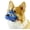 Blue, variant on Dog Muzzle, Basket Muzzle for Small Medium Large Dogs, Anti-Biting and Chewing, Lightweight & Sturdy Cage Design, Allows Panting & Drinking, Ideal for Grooming & Training(Green Size S)