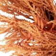thumbnail image 4 of Northlight Pampas Grass Artificial Fall Harvest Wreath - 24" - Peachy Pink, 4 of 5
