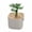 B, variant on Kugisaki St Patricks Day Decorations Shamrock Picks Potted Artificial Flowers Decor Festival Ambient Layout for Home Party Table Centerpiece