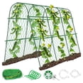 thumbnail image 3 of Mosiee U-Shaped Cucumber Trellis Garden For Climbing Plants - Complete Support Kit, 3 of 8