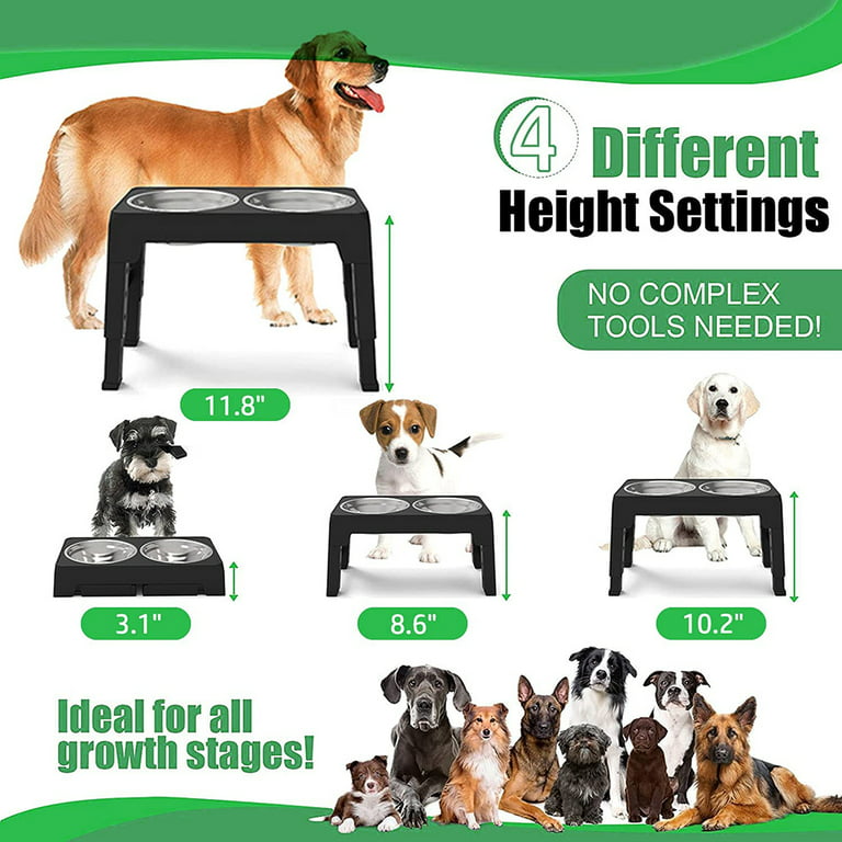 BestVida 12 Elevated Dog Bowls, Raised Dog Bowl Stand, Double Bowl Stand,  Pet Feeder Comes with Four Stainless Steel Bowls