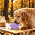 thumbnail image 6 of Collapsible Dog Bowl Silicone, 2 Pack Pet Travel Bowls | Foldable Water Feeder Dish for Small to Large Dogs Cat Walking Hiking Camping, Portable Dog Bowl, 6 of 6