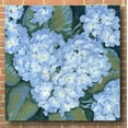 thumbnail image 3 of Epic Art 'Blue Hydrangeas II' by Tim O'Toole, Acrylic Glass Wall Art, 36"x36", 3 of 6
