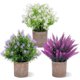 thumbnail image 1 of 3 Packs Fake Plants Artificial Potted Flowers Small Potted Plants Mini Artificial Small Flower 10 Indoor Lavender Pot, 1 of 4