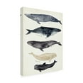 thumbnail image 2 of Victoria Barnes 'Whale Chart II' Canvas Art, 2 of 4