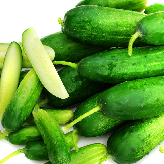 Cucumber Seeds - Double Yield Organic Variety Cucumber Seeds - Non-GMO - 50 Seeds