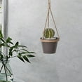 thumbnail image 3 of Maceta colgante para flores para patio, 3 of 9