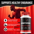 thumbnail image 2 of EreForce for Men Capsules – Ere Force Vitamin Complex Pills, Energy, 3 Pack, 180 Capsules, 2 of 6