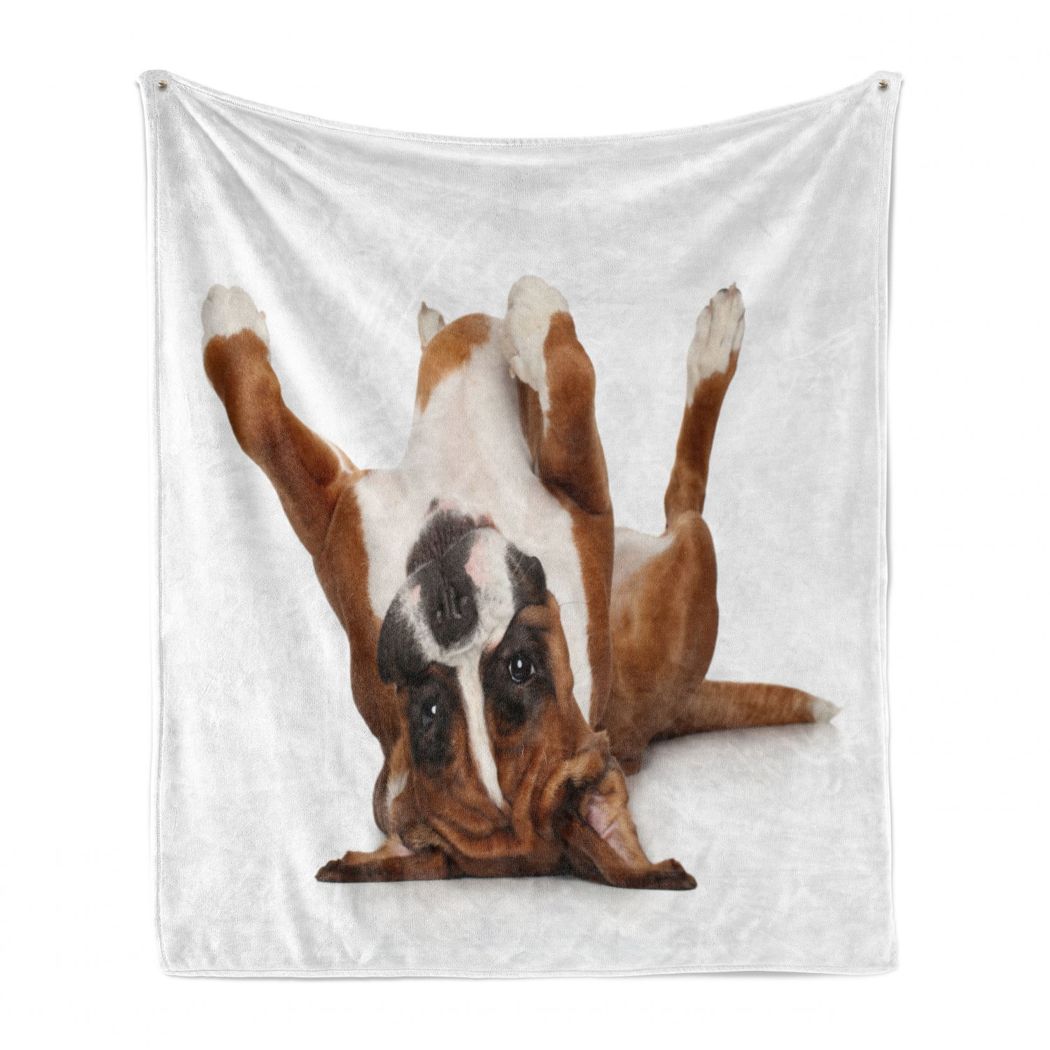 50 x 60 BENNIGIRY Beautiful Boxer Dog Velvet Plush Throw Blanket Cozy Warm Lightweight Blankets for Couch Bed Sofa 