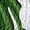 Green, variant on Womens Tops Going Out Asymmetrical Sheer Embellished Shell Top Flowy Palm Tree Pattern Women's Shirt