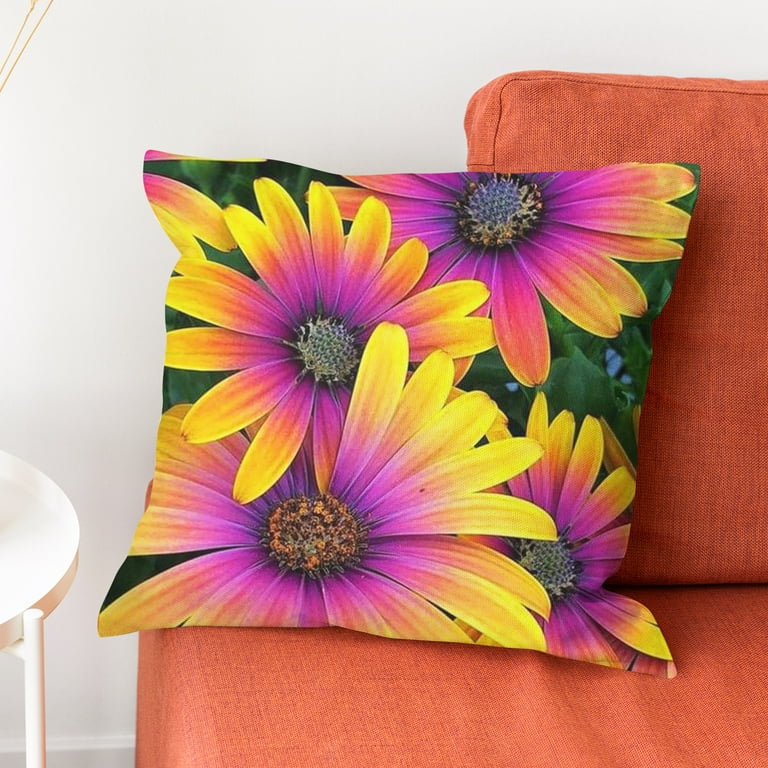 Throw pillow best sale covers walmart