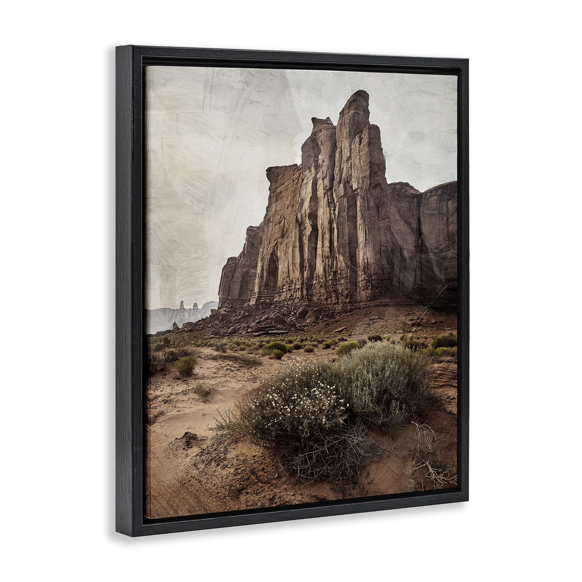 Stupell Industries Desolate Rock View Black Framed Floater Canvas Wall Art, design by Kim Allen