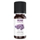 thumbnail image 1 of Aceite esencial NOW Lavanda 10 ml 100% puro vegano resistente a los niños, 1 of 3