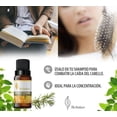 thumbnail image 2 of Romero Español Herbolare Aceite Esencial 10 mL, 2 of 3