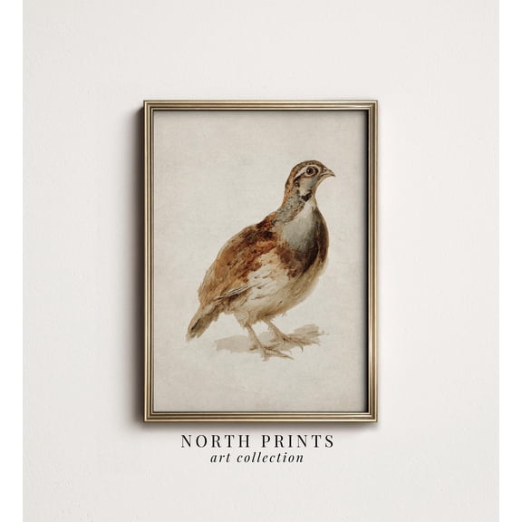 Vintage Quail Bird Printable Art, Rustic Autumn Wildlife Wall Decor, Farmhouse Country Print, North Prints W1-34 UNFRAMED Poster, Wall Art for Decor, Present, 8x12