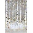 thumbnail image 3 of Forêt de Bouleaux par Hiver - Toile 24"x36 Pouces - Impression à la Demande, 3 of 5