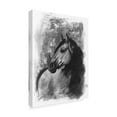 thumbnail image 2 of Trademark Fine Art 'Charcoal Equestrian Portrait IV' Canvas Art by Naomi McCavitt, 2 of 4