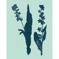 thumbnail image 2 of Vision Studio 20x24 White Modern Wood Framed Museum Art Print Titled - Indigo and Mint Botanical Study VIII, 2 of 4