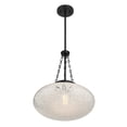 thumbnail image 3 of Willow 1-Light Pendant in Matte Black, 3 of 5