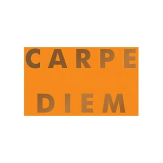 Calendars & Gifts to Swear by: 2024 Carpe F*cking Diem Planner: August  2023-December 2024 (Other) 