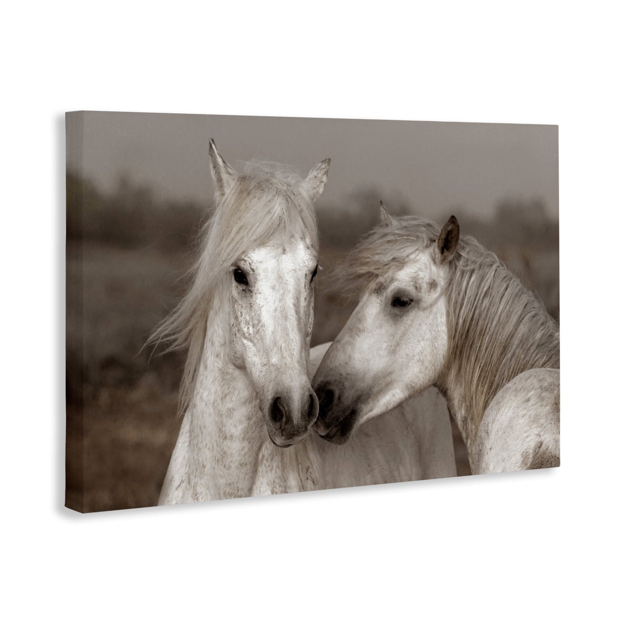 Stupell Industries Gentle Companionship Horses Canvas Wall Art, design by Danita Delimont