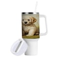 thumbnail image 2 of 40 Oz Car Handle Water Bottle Water Cup Water Bottle Water Jug Coffee Cup Travel Water Bottle Beautiful Two White Dogs, 2 of 8