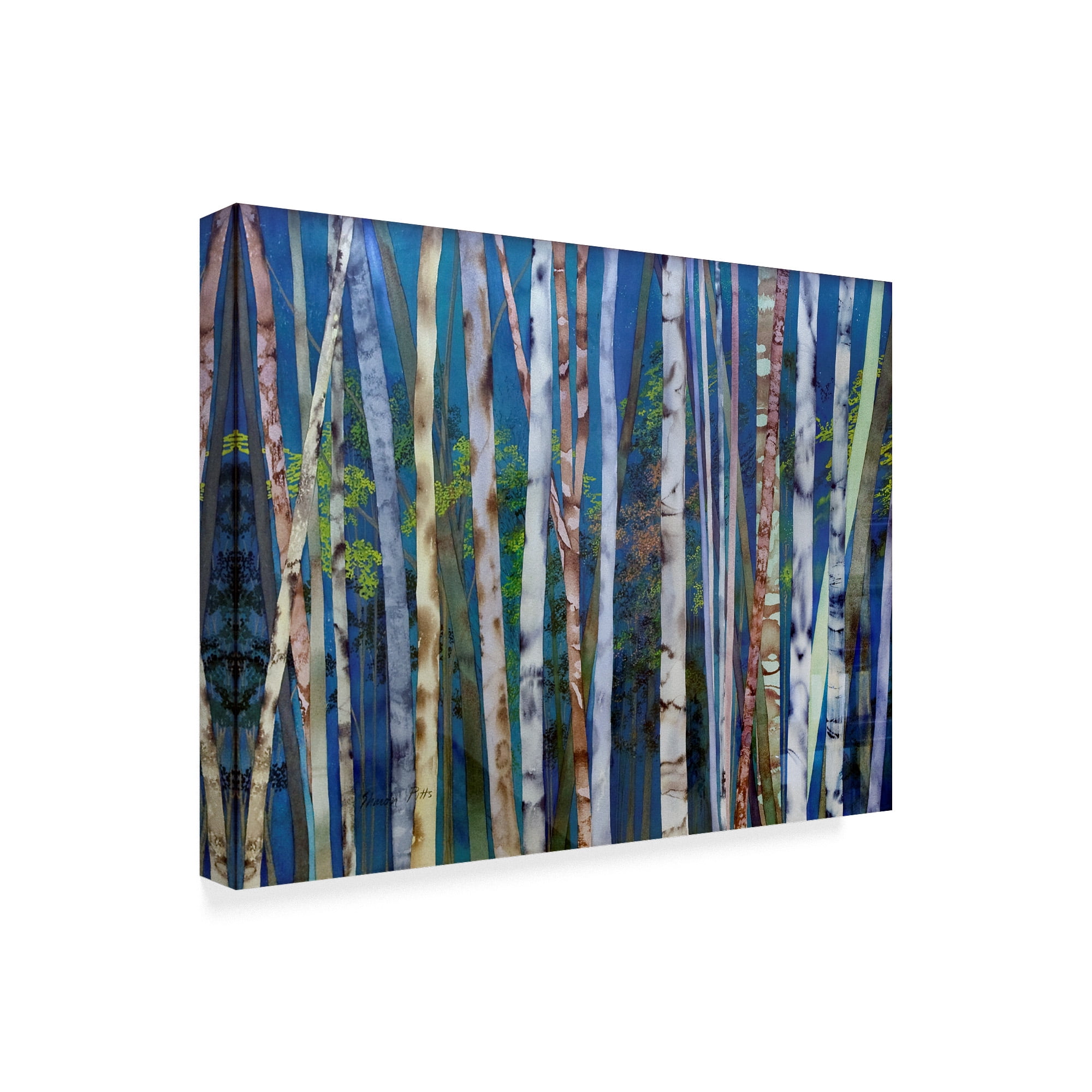 Trademark Fine Art 'Mystery Of Trees Birches' Canvas Art by Sharon Pitts