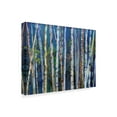 thumbnail image 2 of Trademark Fine Art 'Mystery Of Trees Birches' Canvas Art by Sharon Pitts, 2 of 3