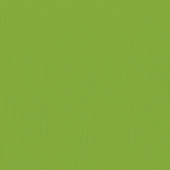 Bazzill Fourz Cardstock 12"X12"-Intense Kiwi/Grasscloth