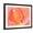 Brown Frame, variant on Art.com Cabbage Rose I Art Print by Carolyn Roth, 16" x 12"