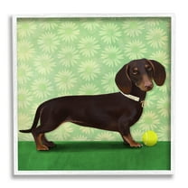 Stupell Industries Dachshund & Tennis Ball Animals & Insects Painting White Framed Art Print Wall Art, 24 x 24