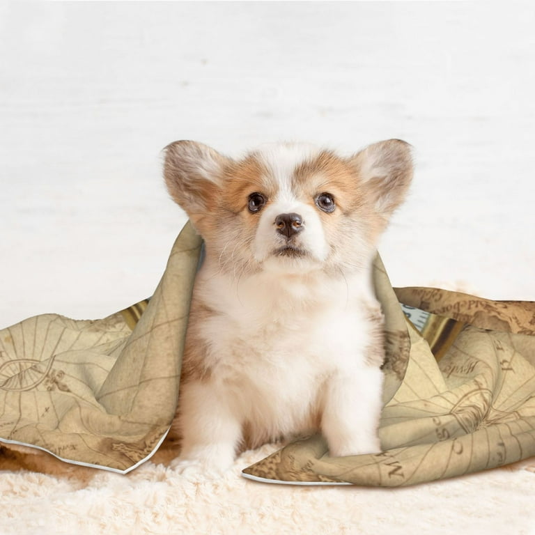 Noikeo Magnetic Old Compass On World Map Pattern Waterproof Pet Blanket Fleece Dog Blanket Dog Bed Cover Reversible Fleece for Sofa Furniture for Small Pets Dogs Cats Large Walmart