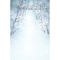 thumbnail image 1 of BSDHOME Polyester 5x7ft Forest snow path Christmas Photography Photo Backdrop, 1 of 2