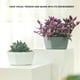 thumbnail image 4 of Inteprter Maceta Maceta Plantas suculentas Bandeja Interior Maceta para el hogar Flores duraderas resistentes al desgaste con ventilación transpirable Jardín y Patio Amarillo Inteprter HA080233-04B, 4 of 6