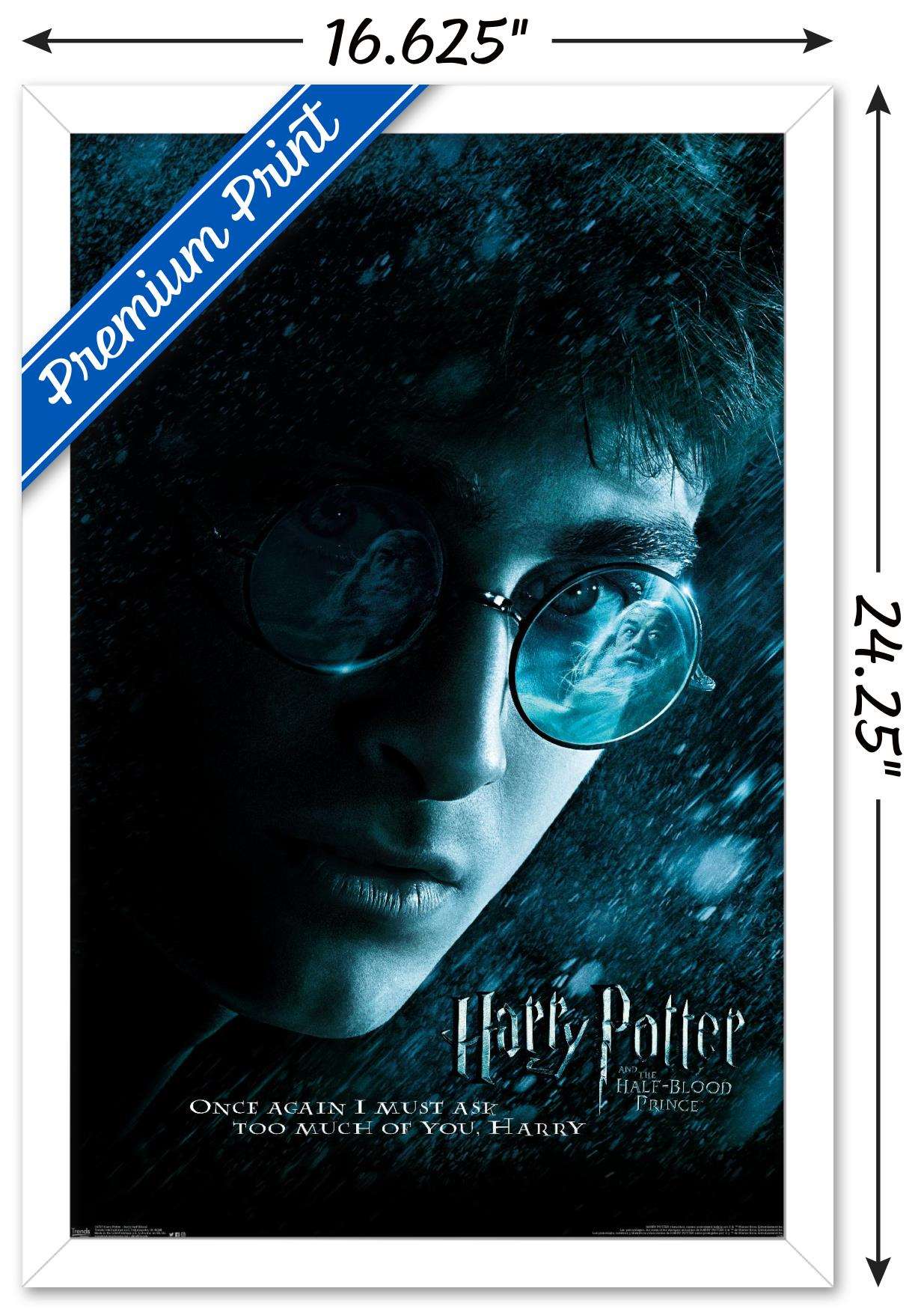 Harry Potter and the Half-Blood Prince - Ghost Wall Poster, 14.725" x 22.375", Framed