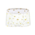 thumbnail image 3 of USNSM Mens See-through Daisy Boxer Briefs Underwear Ice Silk Printed Breathable Low Waist Lingerie White M, 3 of 4
