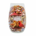 thumbnail image 4 of Stony Creek 5.25In Winters Cardinals Pre-Lit Small Vase, Glass, Chair Feeder Branch Gio4204 Feeder, 4 of 4
