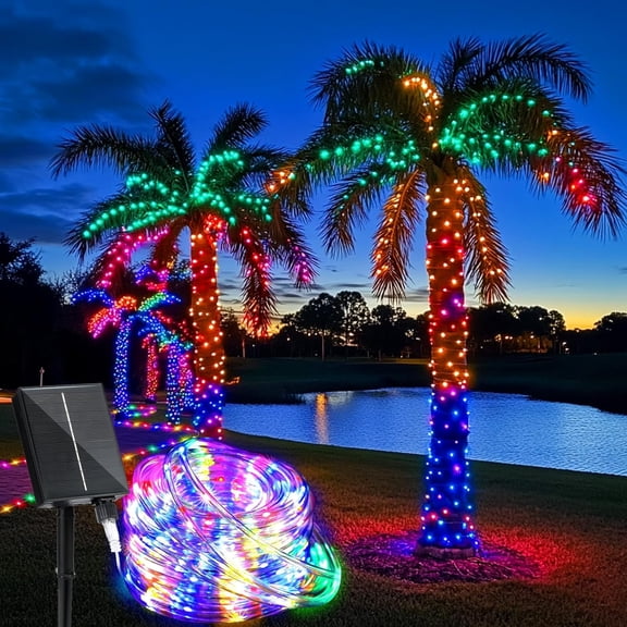 Solar Rope Lights Outdoor Waterproof 100LED Tube String Lights with USB Rechargeable Timer 8 Modes Dimmable Twinkle Fairy String Light for Trampoline Yard Pool Party Wedding Christmas