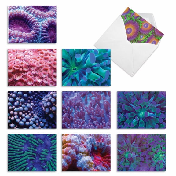 The Best Card Company 10 Assorted Blank All Occasions Notes Pack Set 4x5.12 w/ Envelopes, 10x1 Designs, For Men, Women, Under the Sea M3103