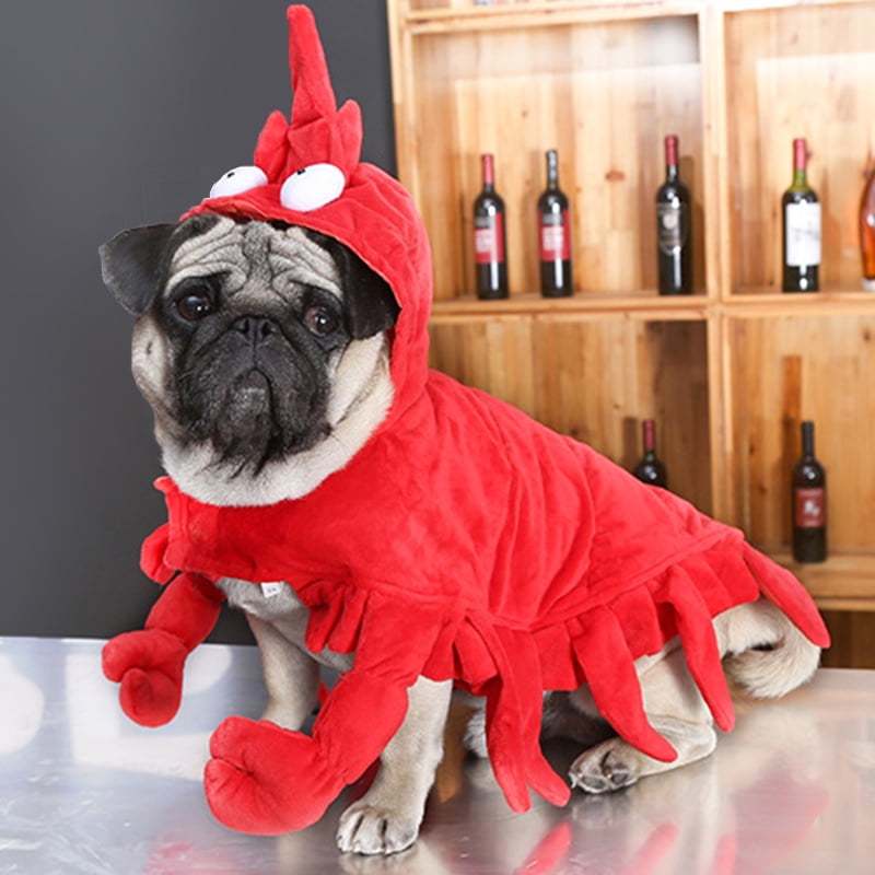 Dog lobster costume Teddy Pug clothes red role play pet clothes