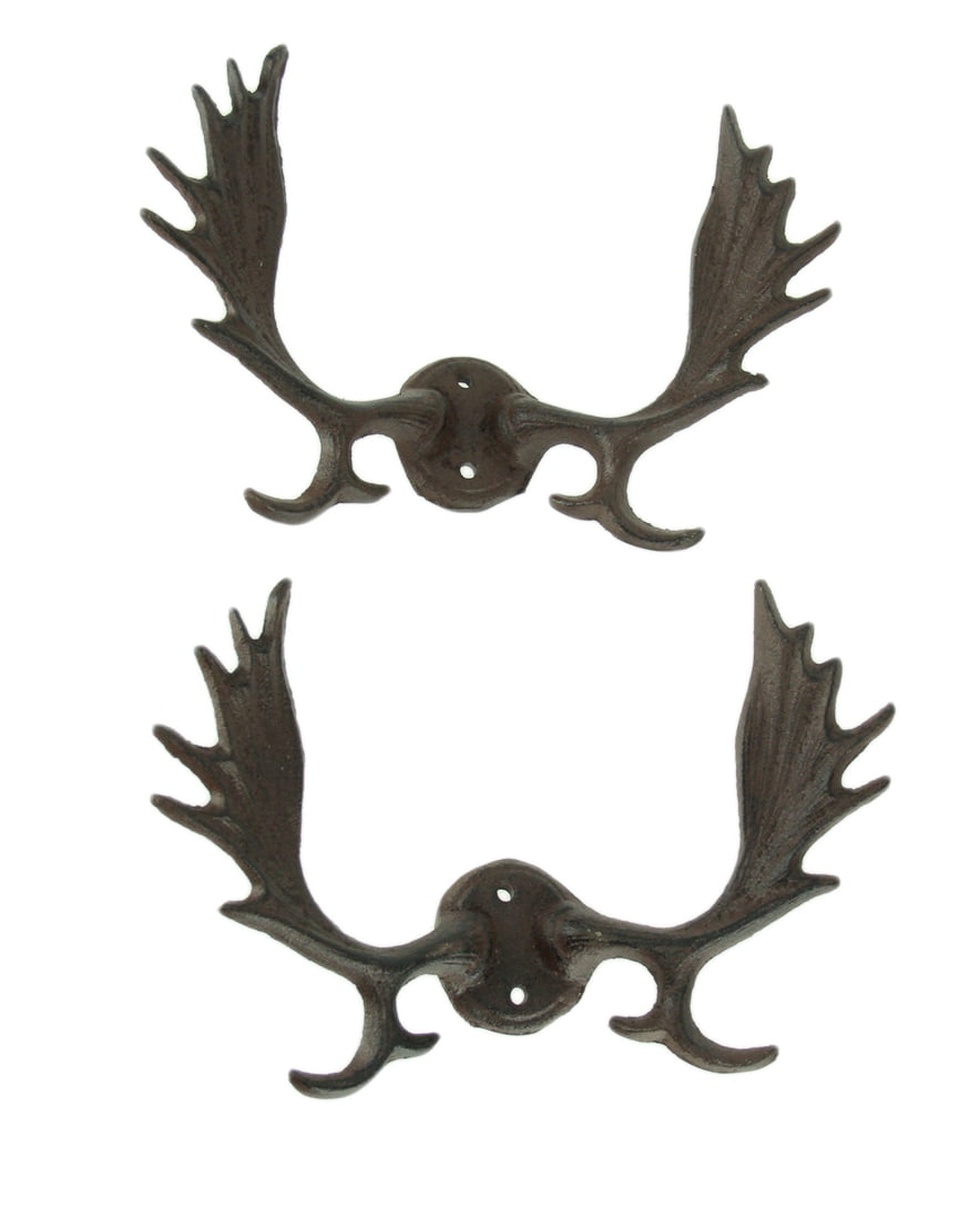 moose antlers