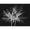 thumbnail image 3 of Koetsier, Albert 14x12 Black Modern Framed Museum Art Print Titled - Leaves Seq, 3 of 5