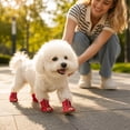 thumbnail image 5 of CSStudio 4Pcs Breathable Mesh Dog Sandals, Adjustable Soft Sole Puppy Shoes, Anti- Paw Protectors for Small Dogs for Hot Pavement Summer Walking, 5 of 5