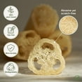 thumbnail image 3 of Juego de esponjas Luofah Chill Ah Natural 100% a base de plantas (paquete de 4), 3 of 7