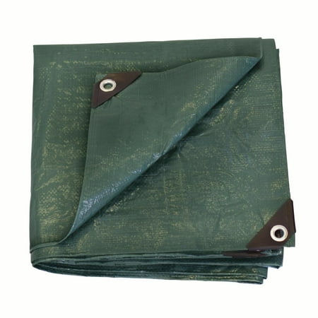 Texsport Tarp - Stansport Rip Stop Tarp - 12 FT x 20 FT - Green