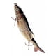 thumbnail image 5 of Manivela de pesca de 5 segmentos de 16,5 cm con anzuelos, 5 of 5