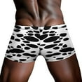 thumbnail image 4 of Dalmatian Print Men's Mesh Boxer Briefs Cooling Breathable Sports Underwear Vertical Fly, 4 of 5
