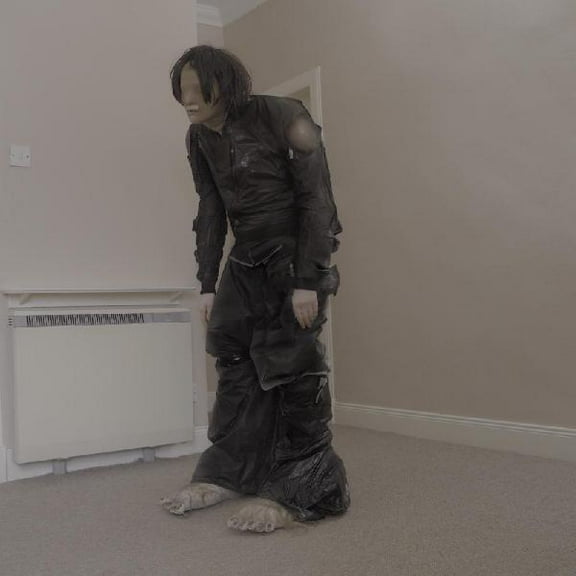 El Perro Del Mar - Big Anonymous - Music & Performance - Vinyl