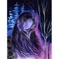thumbnail image 1 of Drapeau de Cocker de Nuit Étoilé - Taille du Jardin, 1 of 1